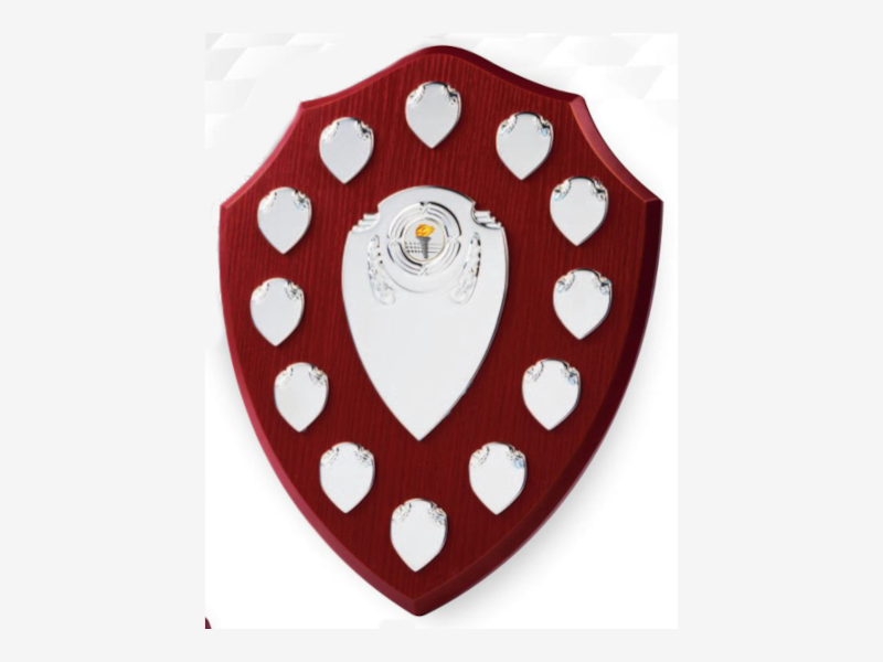 12 year shield