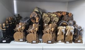 Various Darts Trophies