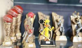 Selection of cricket awards 1