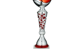 Glass & Metal Trophy