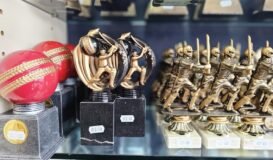 Selection of cricket awards 2