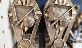 Selection of hockey trophies 1