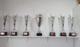 Various trophies 2