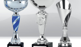 Various trophies 3